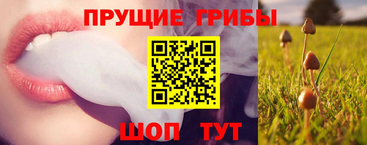 Галлюциногенные грибы MAGIC MUSHROOMS Ефремов